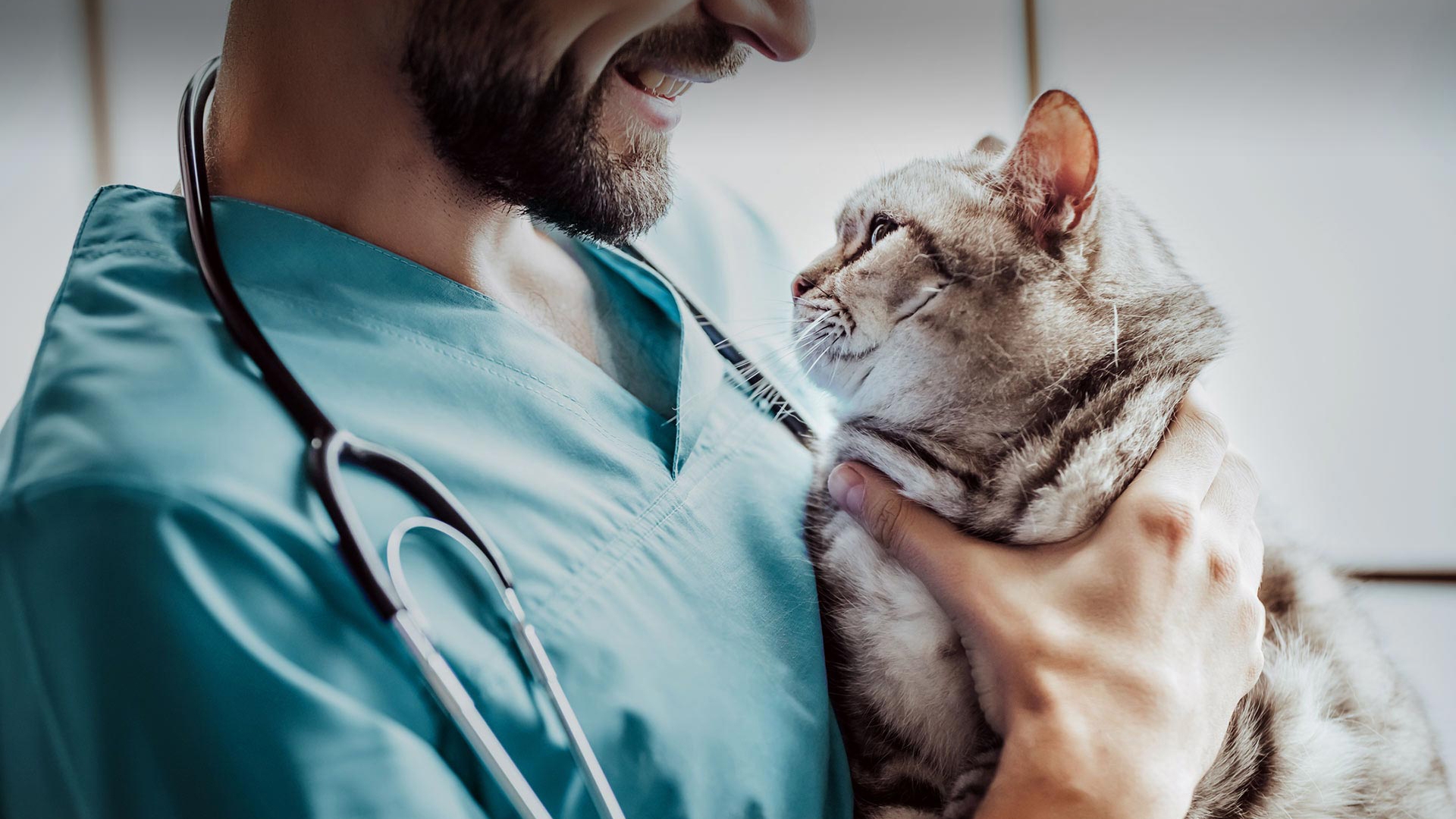 Karamürsel Veteriner